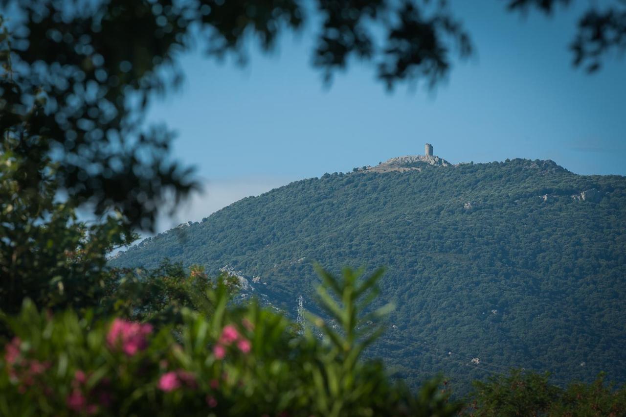 Camping La Plage Argeles Εξωτερικό φωτογραφία
